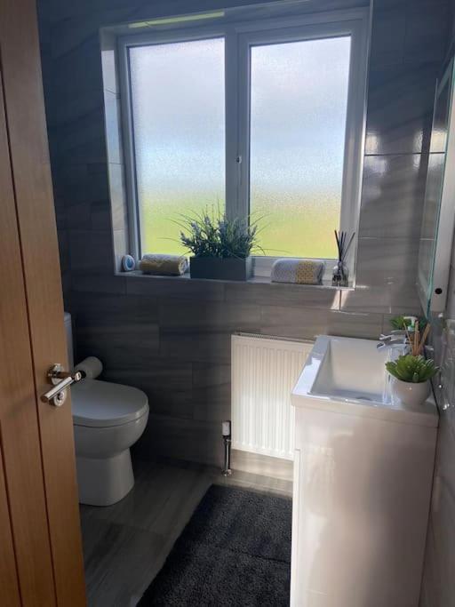 'Little Acre' Perfect For Business Or Pleasure Apartment Portadown Bagian luar foto